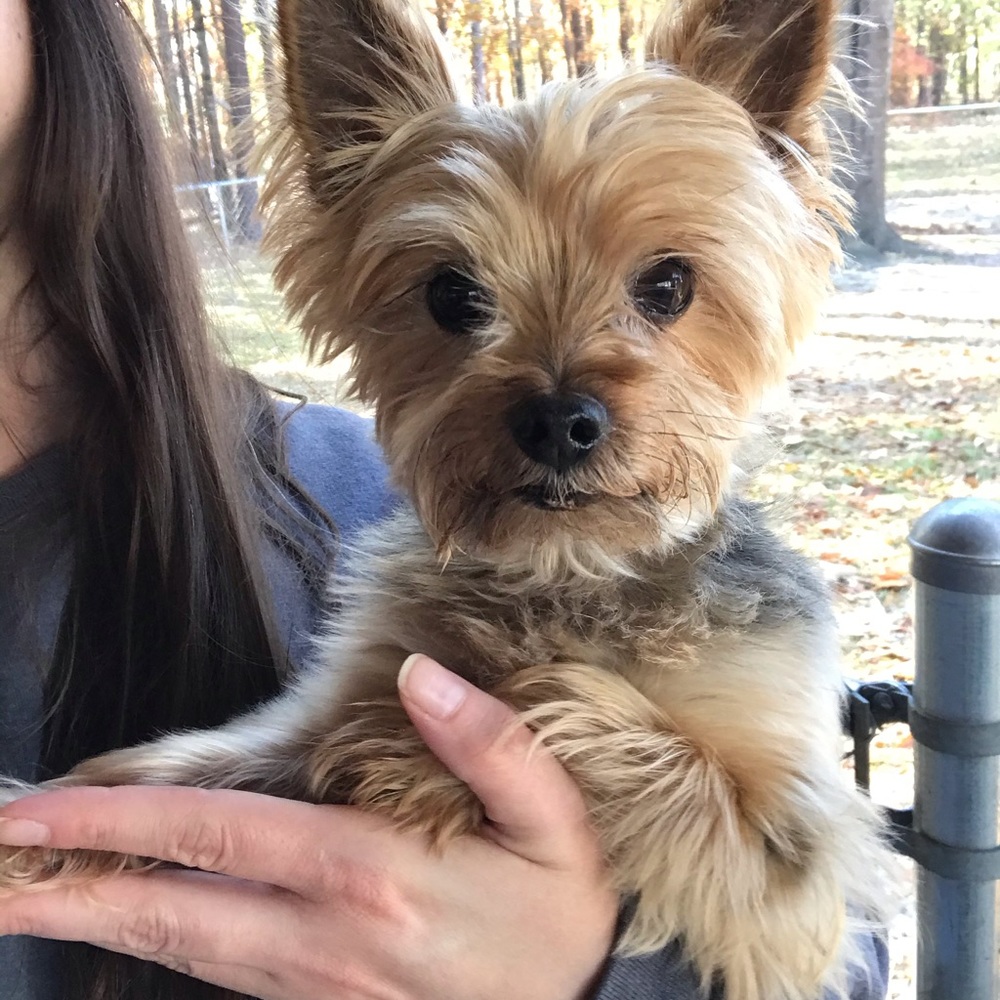 Me!! 💁🏻‍♀️🌸✨🦈 - Picture 12 of 16